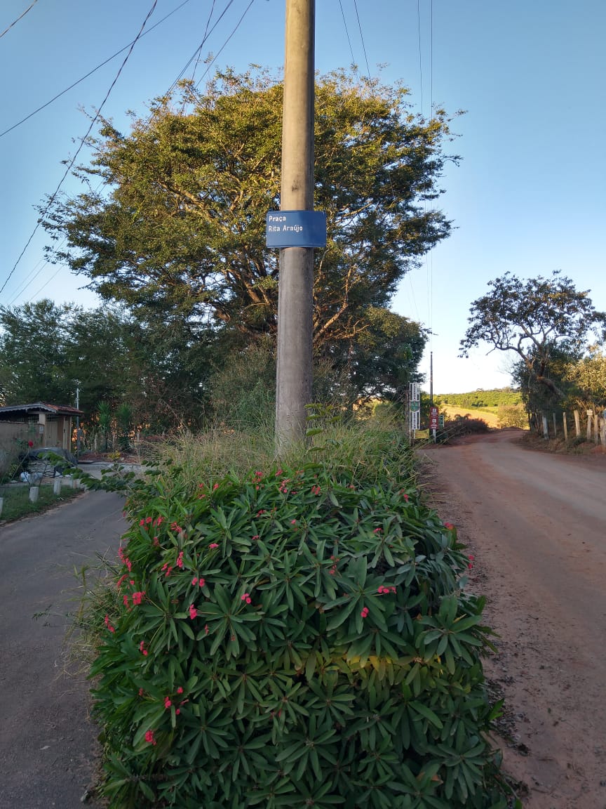 Indicação pede a limpeza e colocação de bancos na Praça Rita Araújo localizada no final Avenida Dr. Valladão, no Bairro Estação