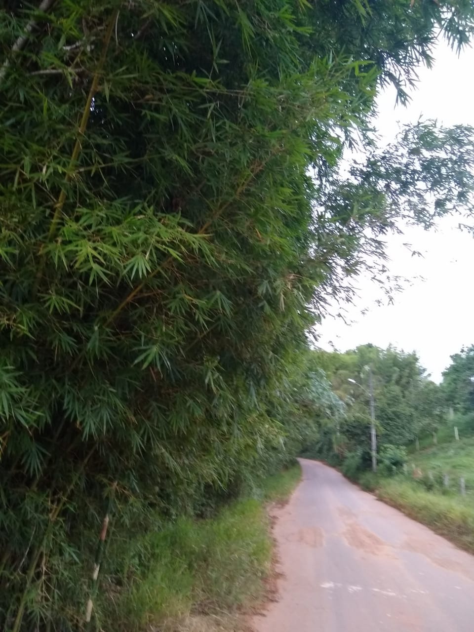Indicação pede a limpeza e recapeamento da pavimentação do final da Rua Santa Cruz