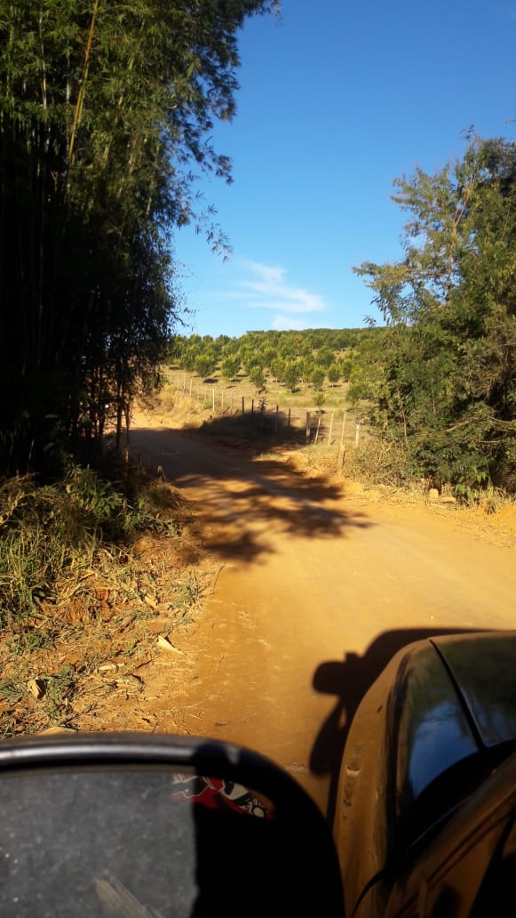 Indicação pede a limpeza para retirada do mato e roçagem das árvores às margens das estradas rurais Barragem e do Palmelinha