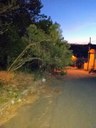 Indicação pede a realização de limpeza e poda das árvores da Rua Rubens Rezende, no Bairro Santa Tereza Indicação pede a realização de limpeza e poda das árvores da Rua Rubens Rezende, no Bairro Santa Tereza