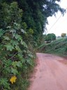 Indicação pede a roçagem do mato e limpeza em toda a extensão da Rua Marechal Deodoro, ate as Três Bicas