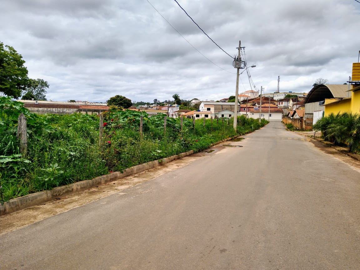 Indicação pede a roçagem e retirada do mato e limpeza em toda a extensão da Rua Ventura Villamarim.