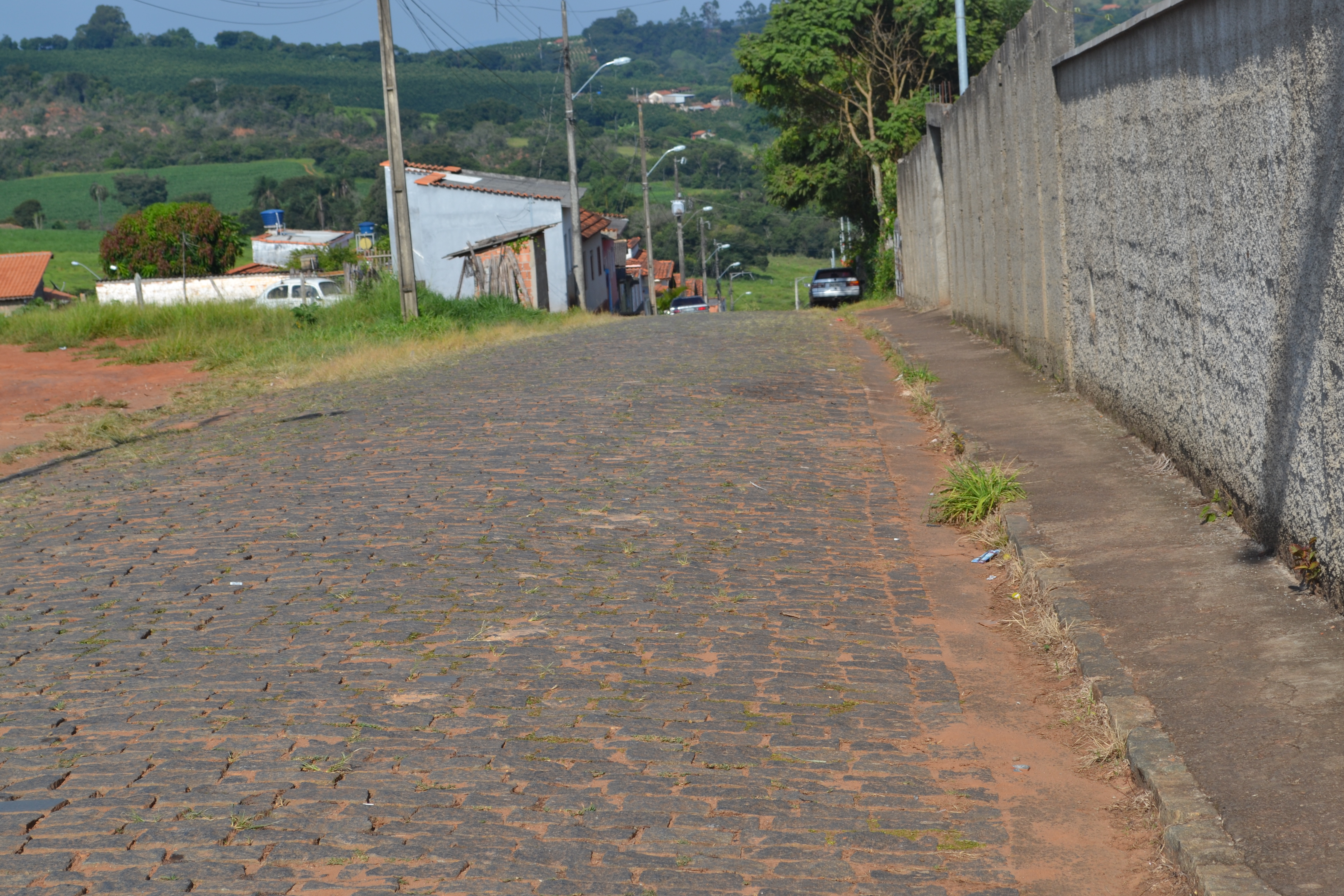 Indicação pede  como medida de urgência , realizar a poda das árvores da Rua Pastor Nivaldo de oliveira.