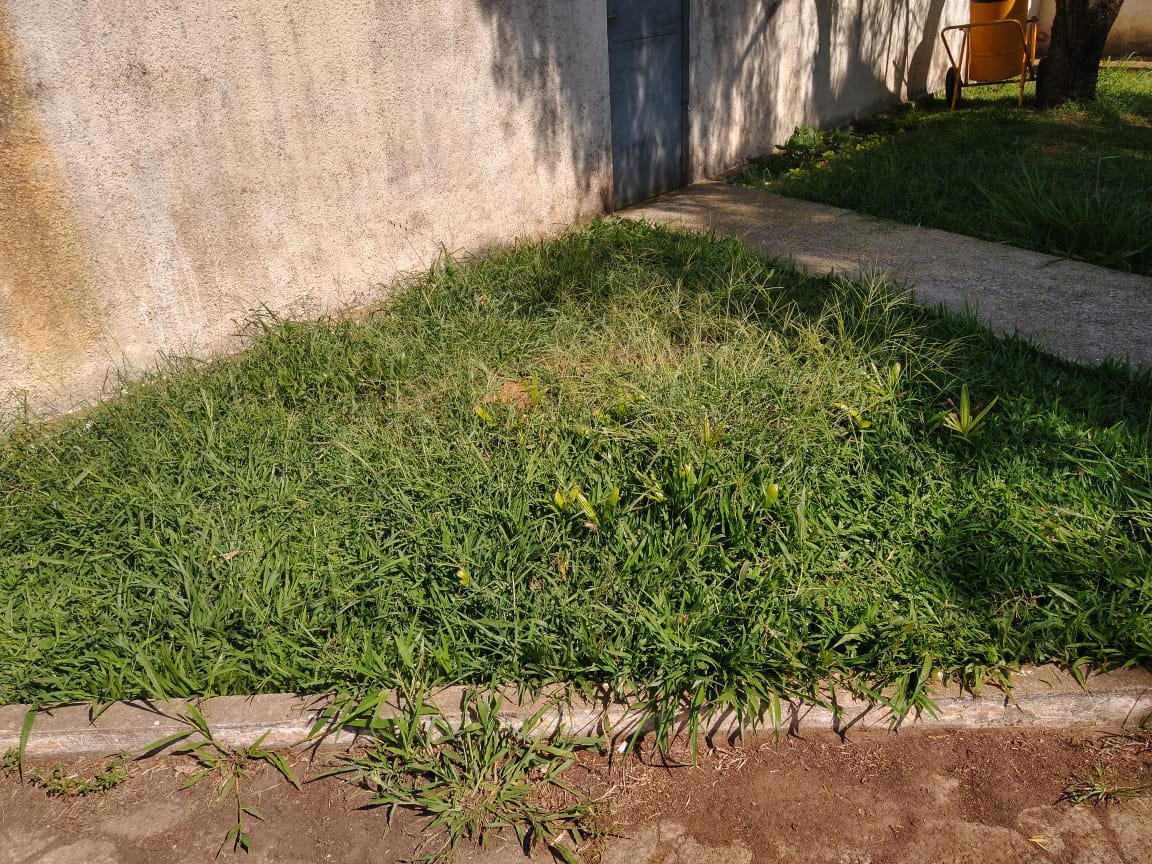 Indicação pede limpeza e poda da grama no jardim do pátio do Terminal Rodoviário Tancredo Neves.