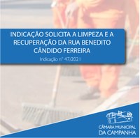 Indicação solicita a limpeza e a revitalização da Rua Benedito Cândido Ferreira