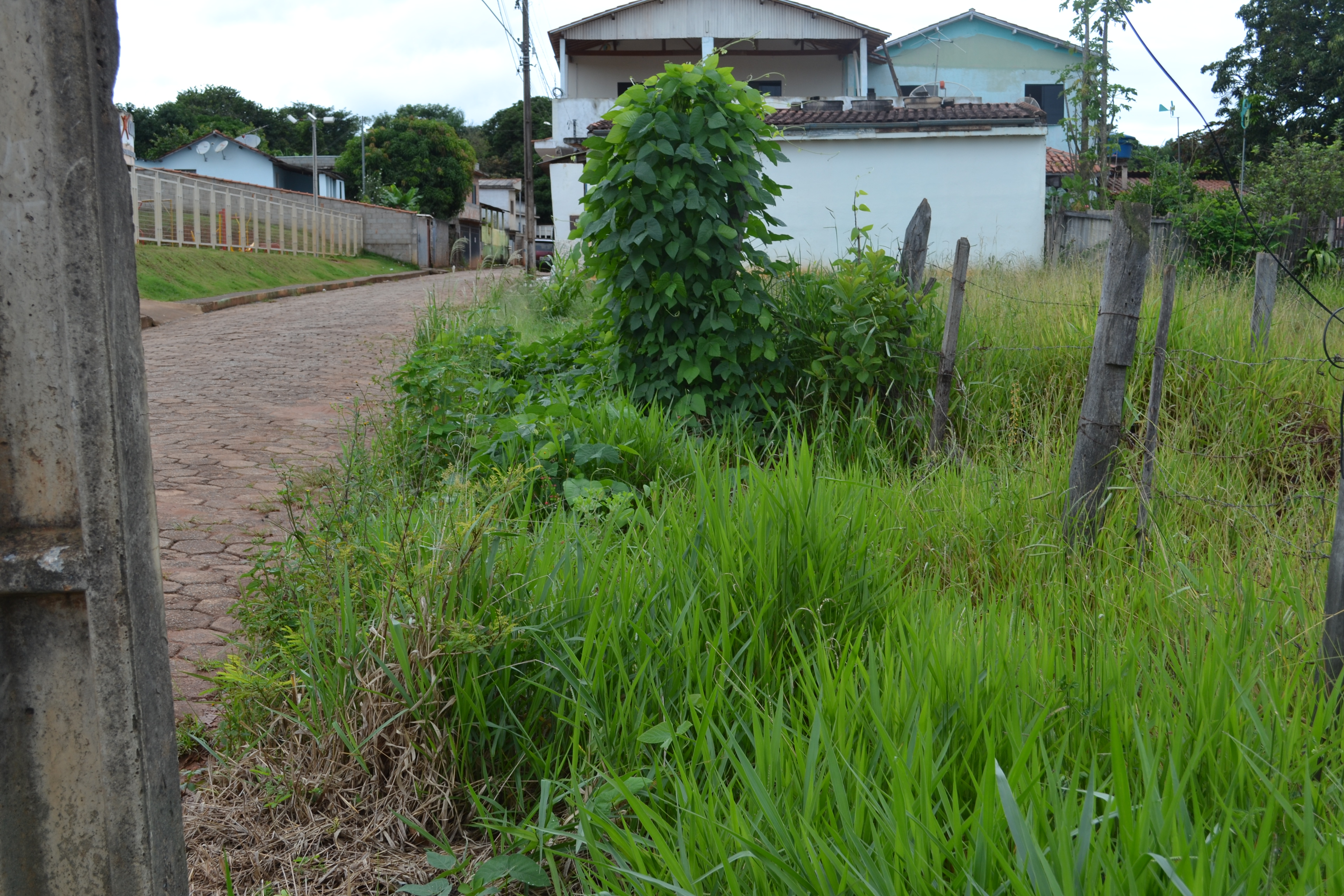 Indicação solicita a limpeza e capina em toda a extensão da Rua Tristão de Alvarenga