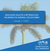 Indicação solicita a retirada das palmeiras da Avenida 2 de Outubro 