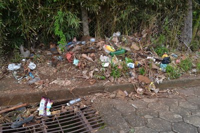 Indicação solicita destinar um servidor para cuidar da limpeza das ruas do Bairro Canadá