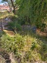 Indicação solicita Reconstruir a calçada e a mureta de contenção ao lado da ponte sobre o Ribeirão Santo Antônio, na Rua Milton Couto. Indicação solicita Reconstruir a calçada e a mureta de contenção ao lado da ponte sobre o Ribeirão Santo Antônio, na Rua Milton Couto.